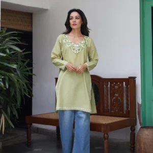 Nigeen Kashmiri Aari Light Green Kurti